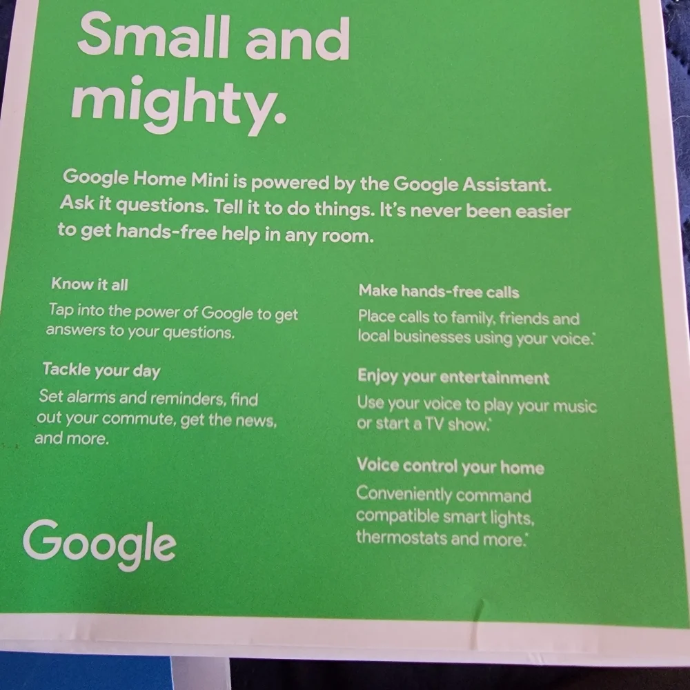 Google home mini